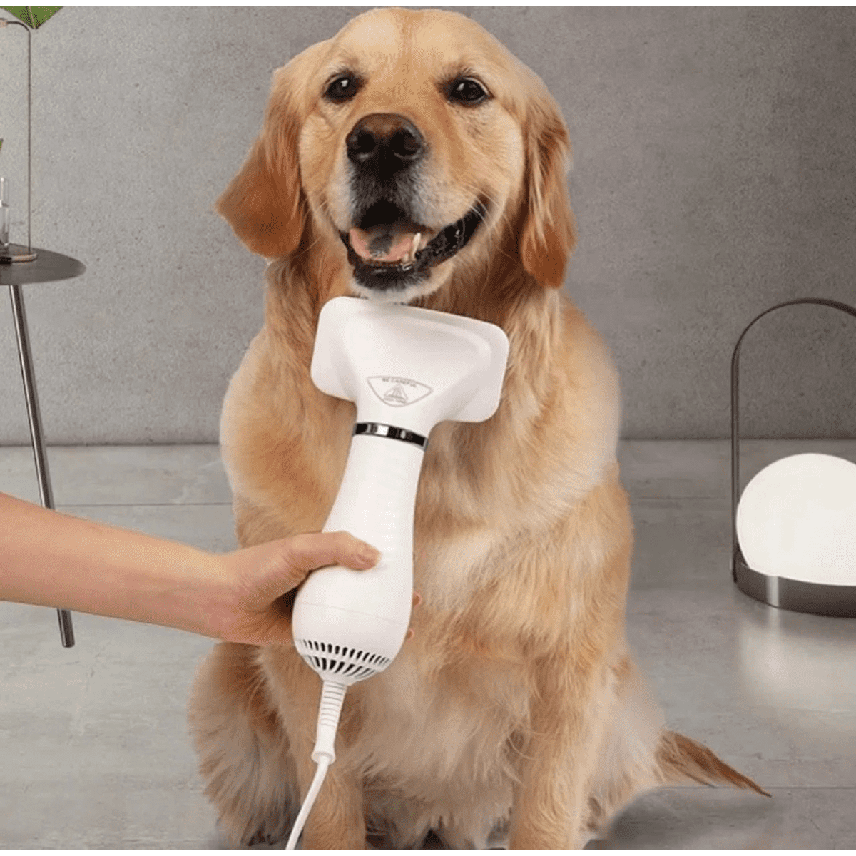Cepillo secador silencioso 2 en 1 para mascotas